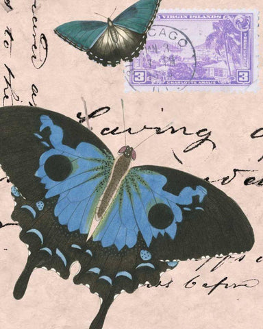 Le Papillon Script V White Modern Wood Framed Art Print with Double Matting by Vision Studio