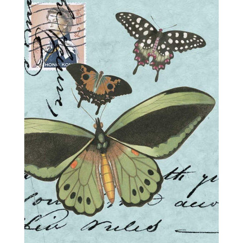 Le Papillon Script VI White Modern Wood Framed Art Print by Vision Studio