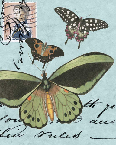 Le Papillon Script VI White Modern Wood Framed Art Print with Double Matting by Vision Studio