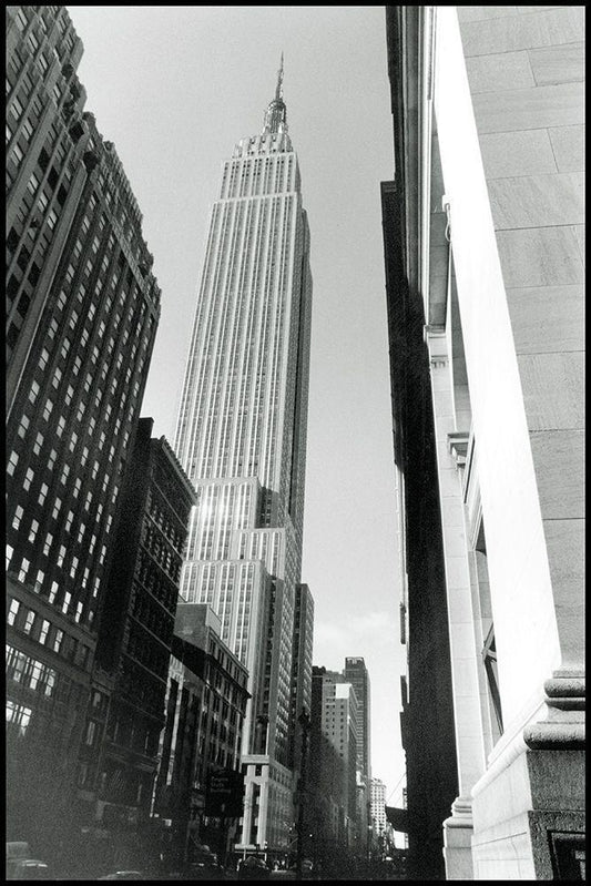 Image Only