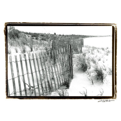 Beach Scape I Gold Ornate Wood Framed Art Print with Double Matting by DeNardo, Laura