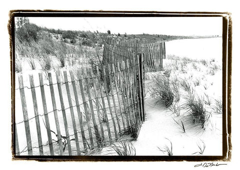 Beach Scape I Black Ornate Wood Framed Art Print with Double Matting by DeNardo, Laura
