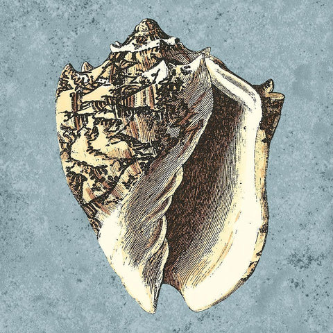 Stonewashed Shells I Black Ornate Wood Framed Art Print with Double Matting by Vision Studio