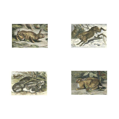 Micro Bunnies Gold Ornate Wood Framed Art Print with Double Matting by Unknown