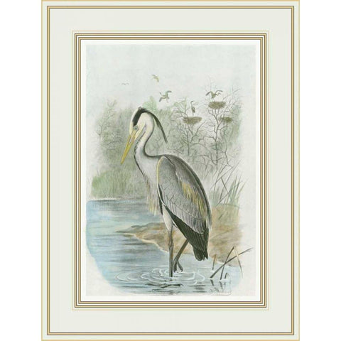 Common Heron Black Modern Wood Framed Art Print with Double Matting by Frohawk