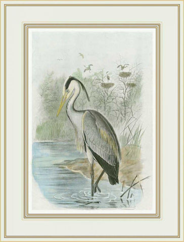 Common Heron White Modern Wood Framed Art Print with Double Matting by Frohawk