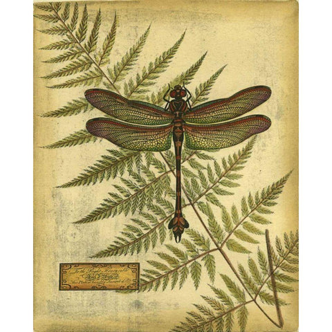 Royal Dragonflies III White Modern Wood Framed Art Print by Vision Studio