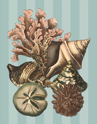 Shell and Coral on Aqua I Black Ornate Wood Framed Art Print with Double Matting by Vision Studio
