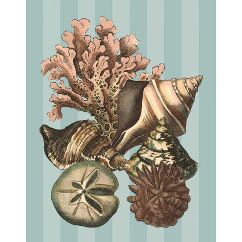 Shell and Coral on Aqua I White Modern Wood Framed Art Print by Vision Studio
