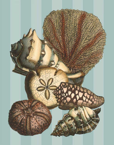 Shell and Coral on Aqua II Black Ornate Wood Framed Art Print with Double Matting by Vision Studio