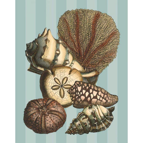Shell and Coral on Aqua II Black Modern Wood Framed Art Print by Vision Studio