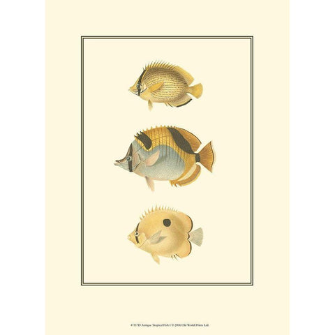Antique Tropical Fish I Black Modern Wood Framed Art Print by Vision Studio