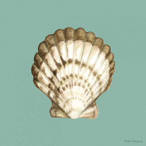 Shell on Aqua III White Modern Wood Framed Art Print with Double Matting by Meagher, Megan