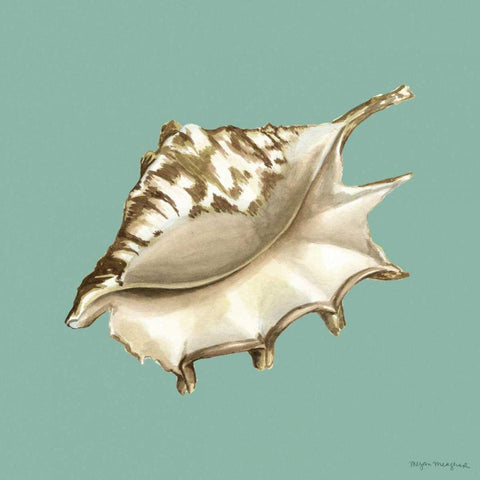 Shell on Aqua IV White Modern Wood Framed Art Print with Double Matting by Meagher, Megan