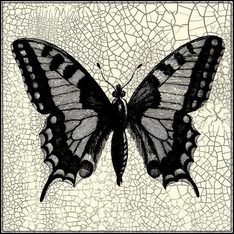 Classical Butterfly I Gold Ornate Wood Framed Art Print with Double Matting by Vision Studio