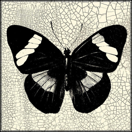 Image Only