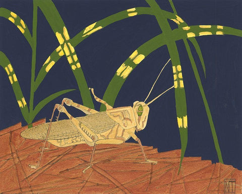 Ornamental Grasshopper I White Modern Wood Framed Art Print with Double Matting by Tenser, Nina