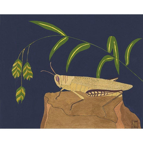 Ornamental Grasshopper II Black Modern Wood Framed Art Print with Double Matting by Tenser, Nina