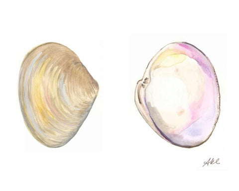 Tidal Treasure I White Modern Wood Framed Art Print with Double Matting by Ludwig, Alicia