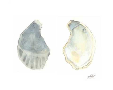 Tidal Treasure II White Modern Wood Framed Art Print with Double Matting by Ludwig, Alicia