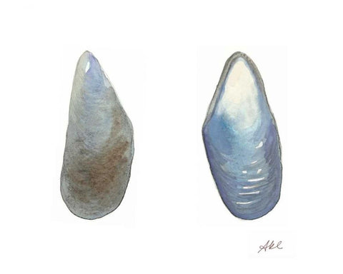 Tidal Treasure III White Modern Wood Framed Art Print with Double Matting by Ludwig, Alicia