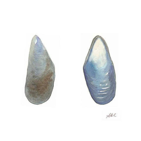 Tidal Treasure III White Modern Wood Framed Art Print by Ludwig, Alicia