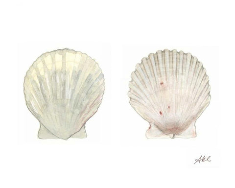 Tidal Treasure IV White Modern Wood Framed Art Print with Double Matting by Ludwig, Alicia