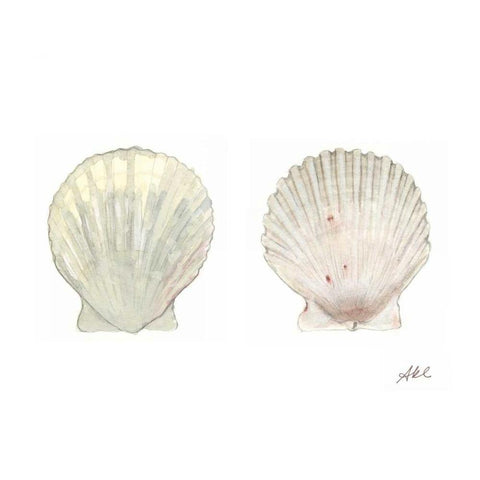 Tidal Treasure IV Black Modern Wood Framed Art Print with Double Matting by Ludwig, Alicia