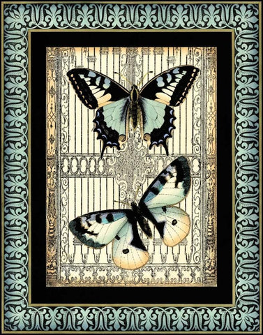 Small Butterfly Fancy II White Modern Wood Framed Art Print with Double Matting by Vision Studio