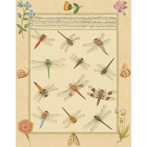 Custom Dragonfly Manuscript I (HI) White Modern Wood Framed Art Print by Prasad, Jaggu