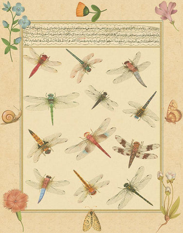 Custom Dragonfly Manuscript I (HI) Black Ornate Wood Framed Art Print with Double Matting by Prasad, Jaggu