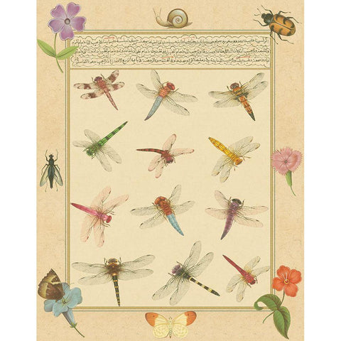 Custom Dragonfly Manuscript II (HI) Gold Ornate Wood Framed Art Print with Double Matting by Prasad, Jaggu