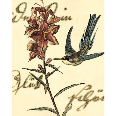 Small Hummingbird Reverie IV Black Modern Wood Framed Art Print with Double Matting by Vision Studio