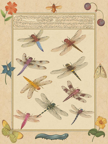 Small Dragonfly Manuscript III (U) Black Ornate Wood Framed Art Print with Double Matting by Prasad, Jaggu