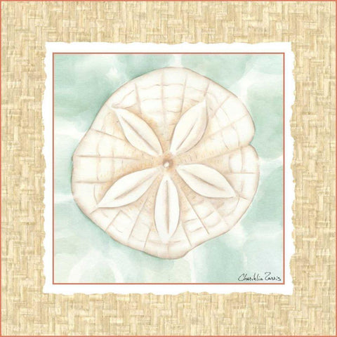 Ocean Sanddollar White Modern Wood Framed Art Print by Zarris, Chariklia