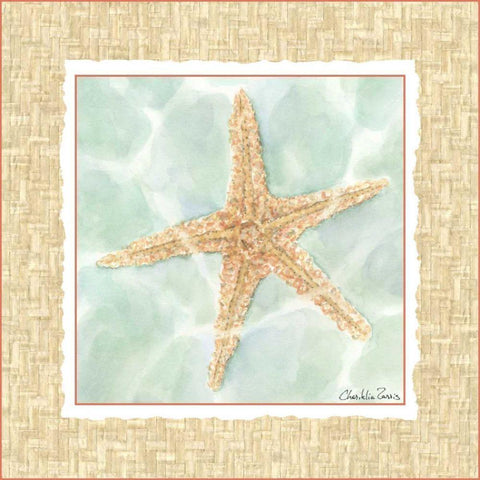 Ocean Starfish  White Modern Wood Framed Art Print by Zarris, Chariklia
