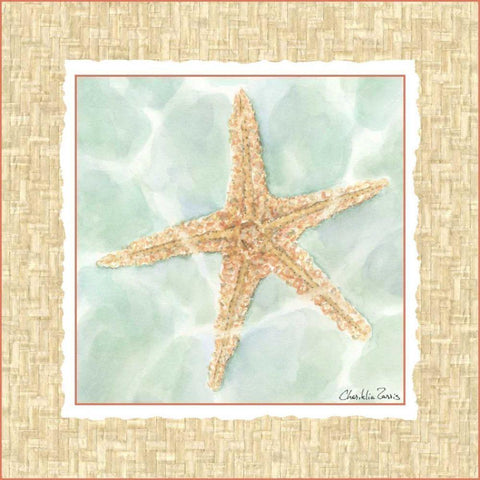 Ocean Starfish  Black Modern Wood Framed Art Print with Double Matting by Zarris, Chariklia