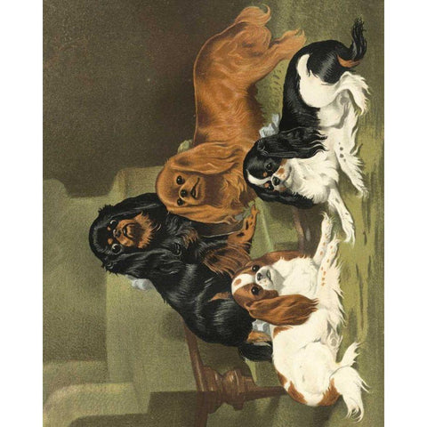 Toy Spaniels Gold Ornate Wood Framed Art Print with Double Matting by Shaw, Vero