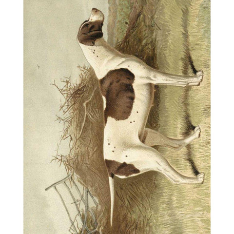 Pointer Black Modern Wood Framed Art Print by Shaw, Vero