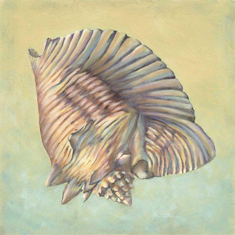 Sand and Sea I Black Ornate Wood Framed Art Print with Double Matting by Vision Studio