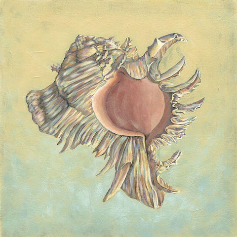 Sand and Sea IV Black Modern Wood Framed Art Print by Vision Studio