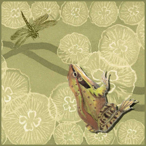 Frog Fable I Black Modern Wood Framed Art Print with Double Matting by Vision Studio