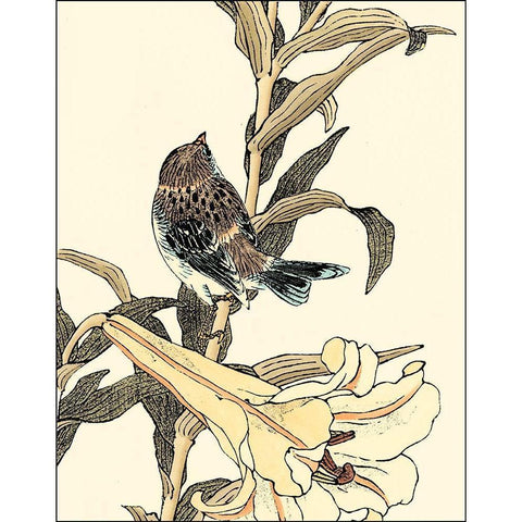 Oriental Bird on Branch II Black Modern Wood Framed Art Print with Double Matting by Vision Studio