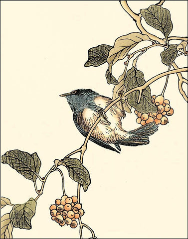 Oriental Bird on Branch III Black Ornate Wood Framed Art Print with Double Matting by Vision Studio