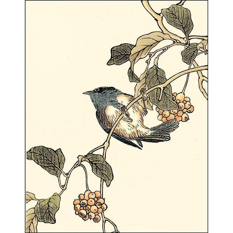 Oriental Bird on Branch III Black Modern Wood Framed Art Print with Double Matting by Vision Studio