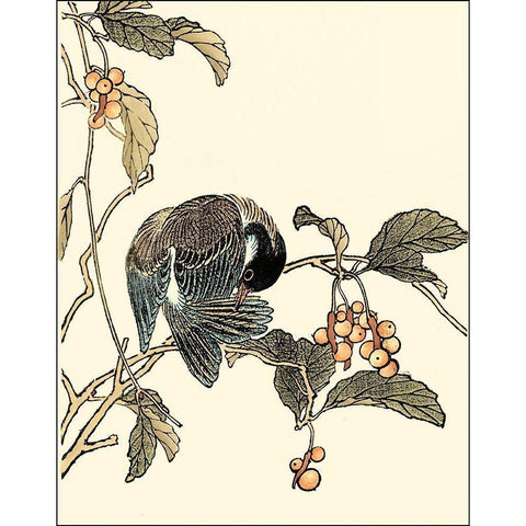 Oriental Bird on Branch IV Gold Ornate Wood Framed Art Print with Double Matting by Vision Studio