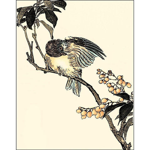 Oriental Bird on Branch V White Modern Wood Framed Art Print by Vision Studio