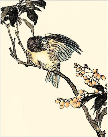 Oriental Bird on Branch V Black Ornate Wood Framed Art Print with Double Matting by Vision Studio