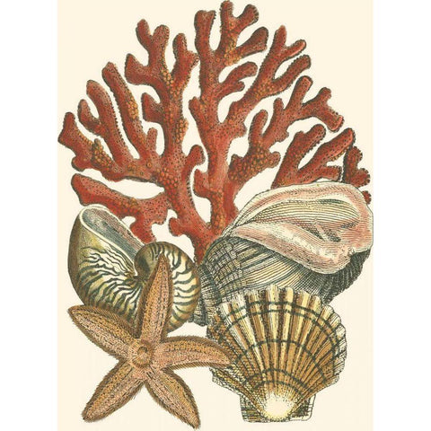 Small Coral Medley I Gold Ornate Wood Framed Art Print with Double Matting by Vision Studio