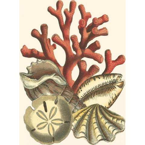 Small Coral Medley II White Modern Wood Framed Art Print by Vision Studio